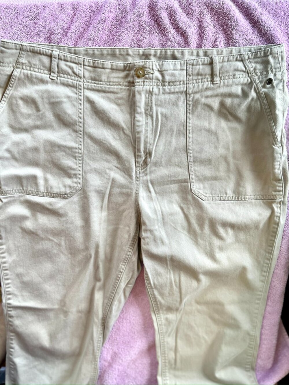 LL BEAN Khaki Ankle Pants Womens 20
